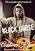 Black Horse by Addison Kline