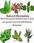 Natural Remedies: NO Prescription needed, how to heal and protect yourself with natural remedies: (herbs, natural remedies, herbal remedies, natural cures)