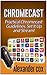 Chromecast: Practical Chromecast Guidelines. Set It Up and Stream! (Chromecast books, Chromecast device, Google chromecast)