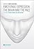 EMOTIONAL EXPRESSION:THE BRAIN AND THE FACE. STUDIES IN BRAIN, FACE AND EMOTIONS. 1st VOL.