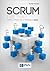 Scrum i nie tylko. Teoria i praktyka w metodach Agile