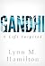 Gandhi: A Life Inspired