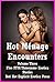 Hot Ménage Encounters Volume Three: Five FFM Threesome Erotica Stories