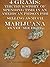 4 Grams: The True Story of Spending Time in An American Prison for Selling Marijuana