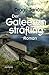 Der Galeerensträfling (German Edition)