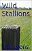 Wild Stallions