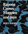 Ravens, Crows, Magpies and Jays