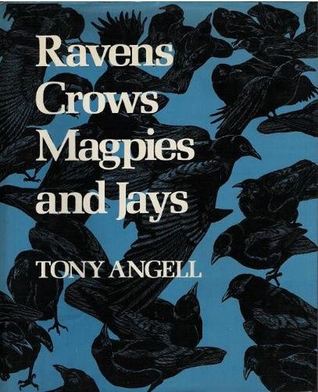 Ravens, Crows, Magpies and Jays (Hardcover)