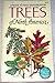 Trees of North America by C. Frank Brockman Trees of North America by C. Frank Brockman