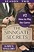 How to Play the Game (The Sinngate Secrets S2, #2)