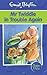Mr Twiddle in Trouble Again (Enid Blyton: Happy Days)