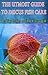 The Utmost Guide to Discus Fish Care: Best Ways to Keep and Breed Discus Fish