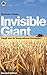 Invisible Giant: Cargill and Its Transnational Strategies