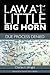 Law at Little Big Horn: Due Process Denied (Plains Histories)