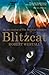 Blitzcat by Robert Westall