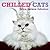 CHILLED CATS by Editors of Plexus