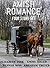 Amish Romance Four Story Set