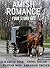 Amish Romance Four Story Set by Hannah King