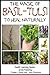 The Magic of Basil – Tulsi ...