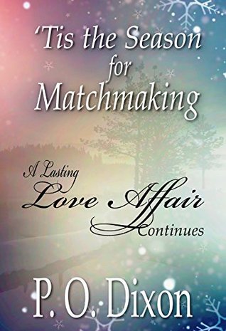 'Tis the Season for Matchmaking (Darcy and Elizabeth Love Affair, #2)