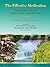 The Effective Medication: A...