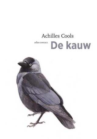 De kauw