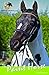 The Paint Horse