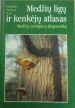 Medžių ligų ir kenkėjų atlasas