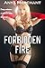 Forbidden Fire (Taboo Erotica) (Burning Harem Book 1)