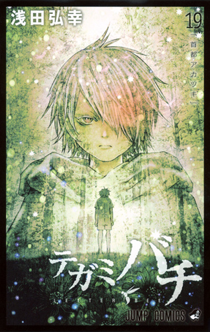 テガミバチ 19 (Tegami Bachi, #19)
