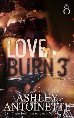 Love Burn 3 (Kindle Edition)