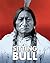 Sitting Bull by Ann Weil
