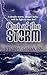 Out of the Storm