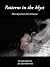 Patterns in the Myst (The M...