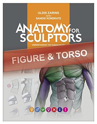 ANATOMY FOR SCULPTORS: FIGURE & TORSO (Kindle Edition)