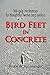 Bird Feet In Concrete: 366 daily meditations for thoughtful Twelve Step seekers