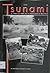 The Tsunami of 1946 and 1960 and the Devastation of Hilo Town by Walter C. Dudley