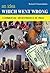 An Idea Which Went Wrong by Ramesh S. Arunachalam