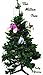The Mitten Tree