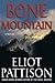 Bone Mountain (Inspector Shan, #3)