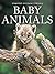 Baby Animals by Snapshot Picture Library
