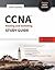 CCNA ROUTING AND SWITCHING STUDY GUIDE [Paperback] Todd Lammle