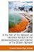 In the Path of the Alphabet; an Historical Account of the Ancient Beginnings and Evolution of the Mo