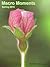 Macro Moments Spring 2015