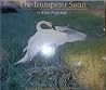 The Trumpeter Swan: A White Perfection The Trumpeter Swan: A White Perfection