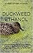 Duckweed Ethanol: Duckweed Biomass Grown from Organic Wastes to Replace Corn for US and International Ethanol Biofuel Production