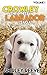 Dog Stories: Crowley, The White Labrador Saga (A Novel for Dog Lovers): Book 1