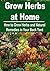 Grow Herbs at Home: How to Grow Herbs and Natural Remedies in Your Back Yard: Grows Herbs, How to Grow Herbs At Home, Herb Gardening, Herbs at Home, Natural Remedies