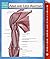 Arms and Legs Anatomy (Speedy Study Guide) (Human Anatomy Edition)