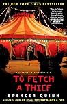 To Fetch a Thief